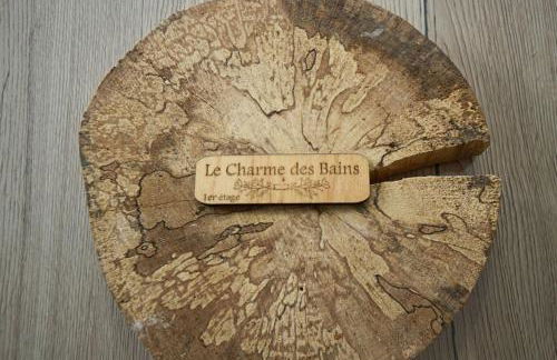 Appartement T2 55 m2 une chambre et garage - Foto 32