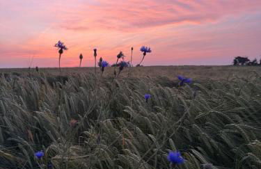 Süße Einliegerwohnung mit Garten - Photo 20