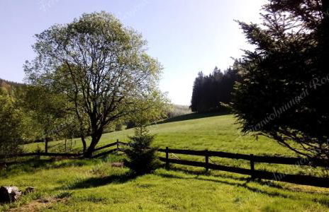 Ferienwohnung Rogowski - Foto 40