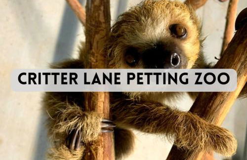 TELLURIDE - Tiny Houses Of French Village - Foto 133