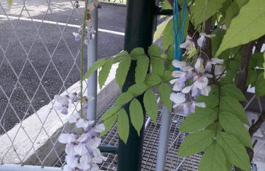 Apartman Patrik - Foto 21