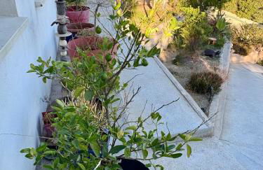 Magnifique vue sur la mer ... - Foto 11