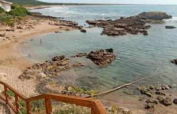 Il Balenottero - Photo 34