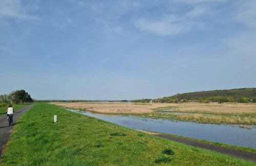 Ferienwohnungen Stolzenhagener 7 - Foto 46