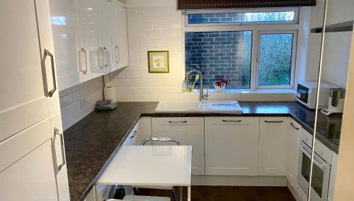 The Premier Living Experience Entire 2-Bedroom Modern Apartment - Foto 2, stove, dishwasher