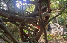 Oase am Deich - Photo 58