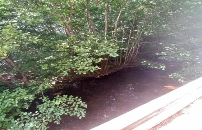 Chalet in St Maurice Near Ballon D'alsace - Foto 41