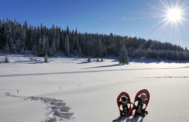 Station Farmhouse Tremblant - Foto 43