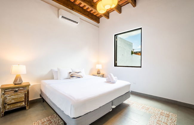 150 Sol by Stay with Bear - Photo 5