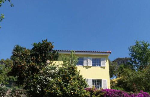 casa das laranjeiras - Foto 15