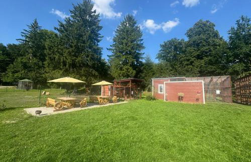 Agroturystyka Zielony Zakątek w Wiewiecku - Foto 48