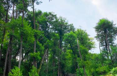 VILLA SUNSHINE "SILVER SUITE" nad JEZIOREM WIELE PRZESTRZENI ZA NISKĄ CENĘ - Foto 10