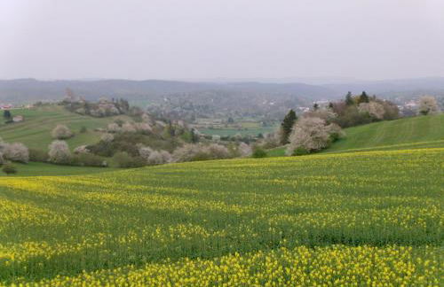 Ferienwohnung Veit - Foto 22