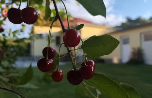 Kuća za odmor Dankica - Foto 36