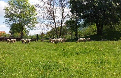 Kuća za odmor DIKKA Brušane Lika - Photo 53