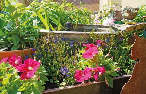 Haus Hilgarth - Foto 14