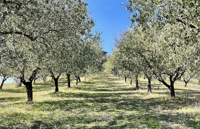 Agriturismo Rio Verde - Foto 33