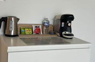 Magnifique F1 à Lingolsheim - Foto 14