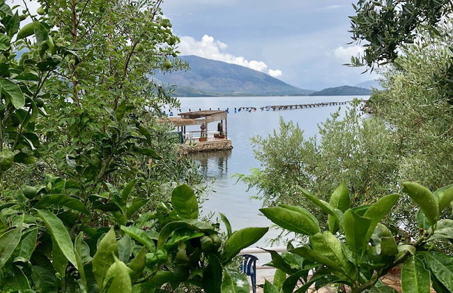 The Mussel House - Foto 18