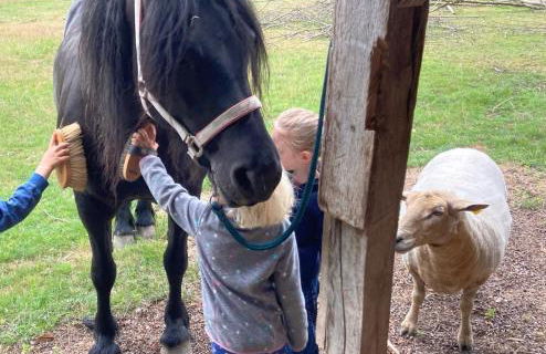 Lovely rural and quiet farmhouse with natural swimming lake - Foto 21