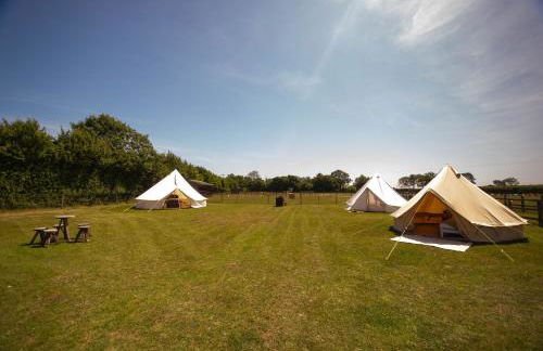 Little Lodge Glamping - Foto 10