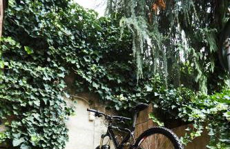 fewo-elzerhof - Foto 27