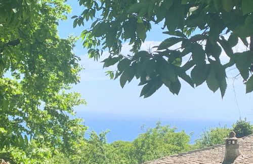 Pelion 7 Lives - Foto 20