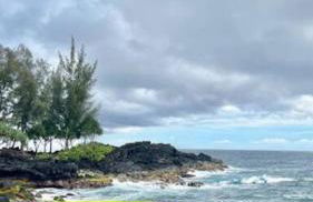 The Red Cottage and Hawaiian Pond Garden Paradise! - Foto 31