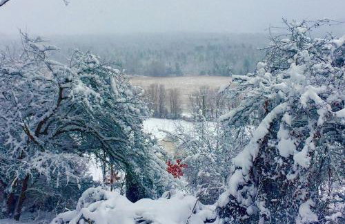 Modern Countryside Yurt Rental in Waterville, Upstate New York - Foto 25