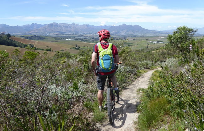 Sanddrif Guest Farm - Foto 27