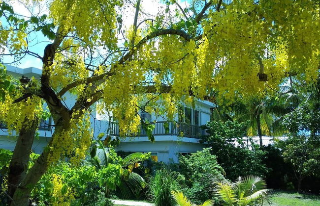 Cap Heureux Villas - Photo 23