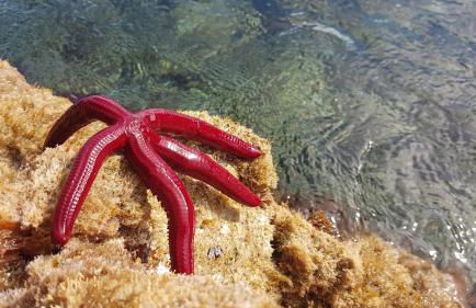 Quinta de São José - Foto 29