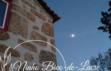 Ninho Bico-de-Lacre ~ o paraíso é a/na Terra - Foto 31