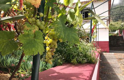 Casa Oliveira Esmeraldo - Guest Houses - Foto 13