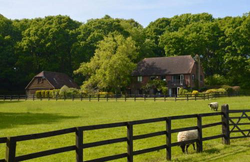 The Annex, Westerlands, Graffham - Foto 17