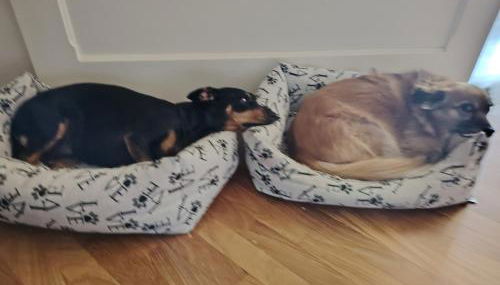 In Piazzetta - Cernobbio - Foto 2