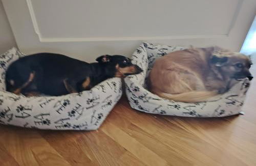 In Piazzetta - Cernobbio - Foto 2