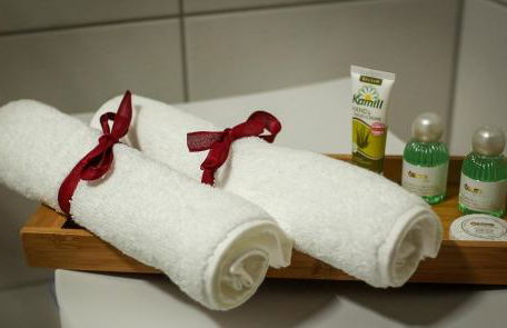 Apartment Serenade am Zwinger - Foto 18