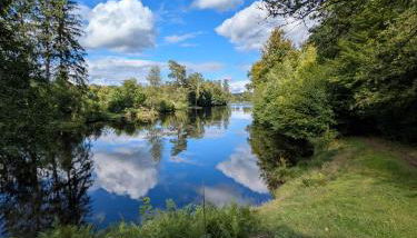 Ferienwohnung Schöntalweiher - Foto 2