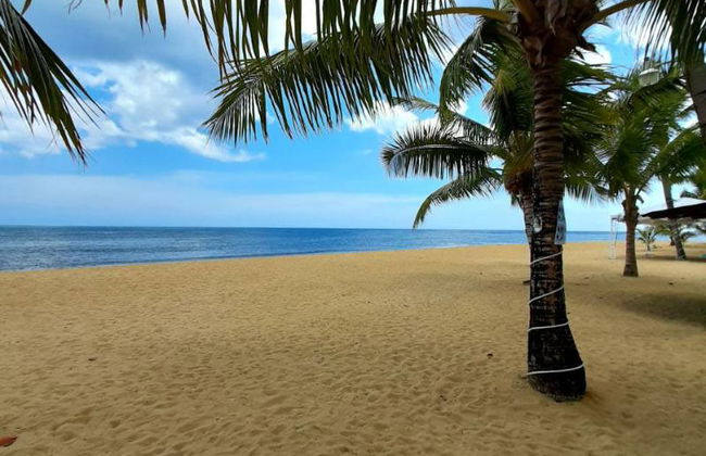 Hotel Playa Colibri - Foto 27