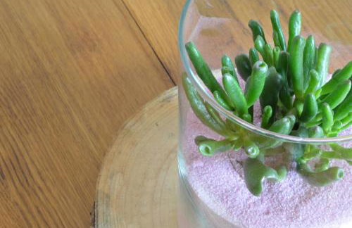 Agriturismo Pepe Rosa - Photo 31