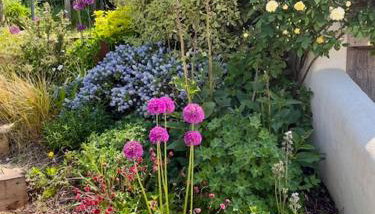 The Roost in the Blackdowns - Photo 3, Garden, Garden view