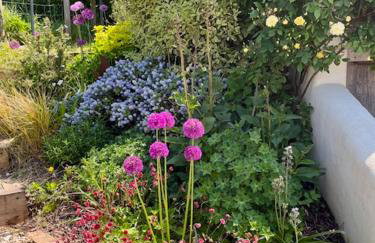 The Roost in the Blackdowns - Photo 3