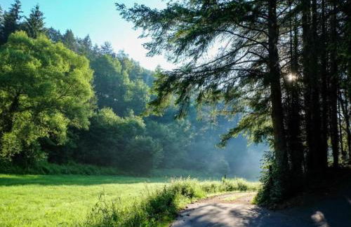 Chalet in Reinskopf With Fireplace - Foto 34