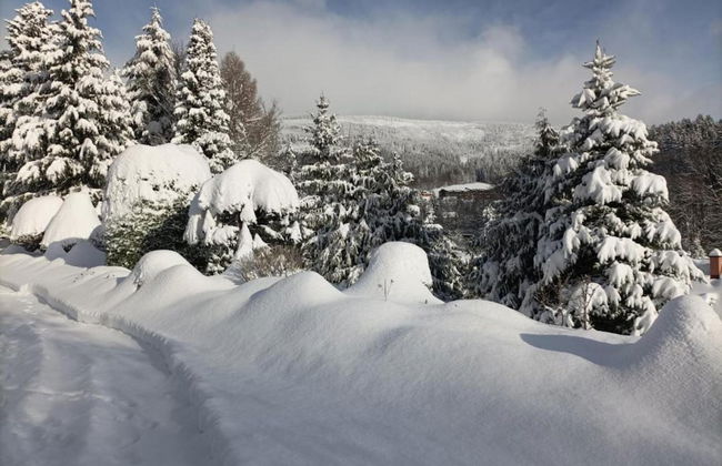 Attractive Apartment in Rokytnice nad Jizerou Near Ski Area - Foto 78