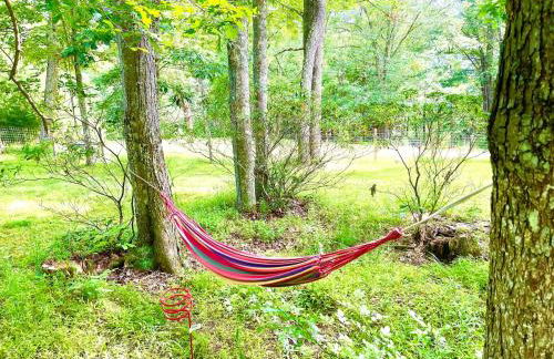 Log Cabin at the Goat Sanctuary - Foto 42