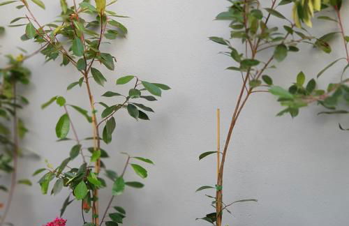 Apartamento À Francos Metro 2 - Foto 7