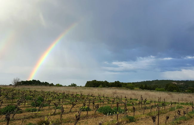 La Maison des Cades - Foto 36