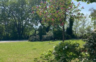 Casa Sant Angelo - Photo 58