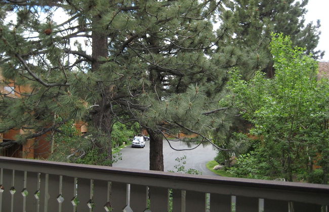 Chateau Sans Nom by Mammoth Reservation Bureau - Foto 56